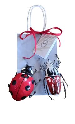 Lot de 2=Insectes Goliath+Coccinelle
