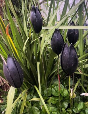 Tulipes - noir mat - Bouquet de 5 