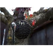 Long-tailed tit nest