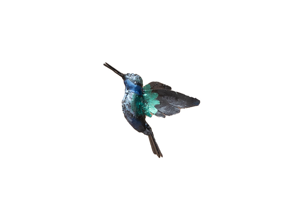 Colibri étincelant