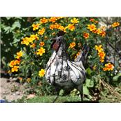 Poule blanche