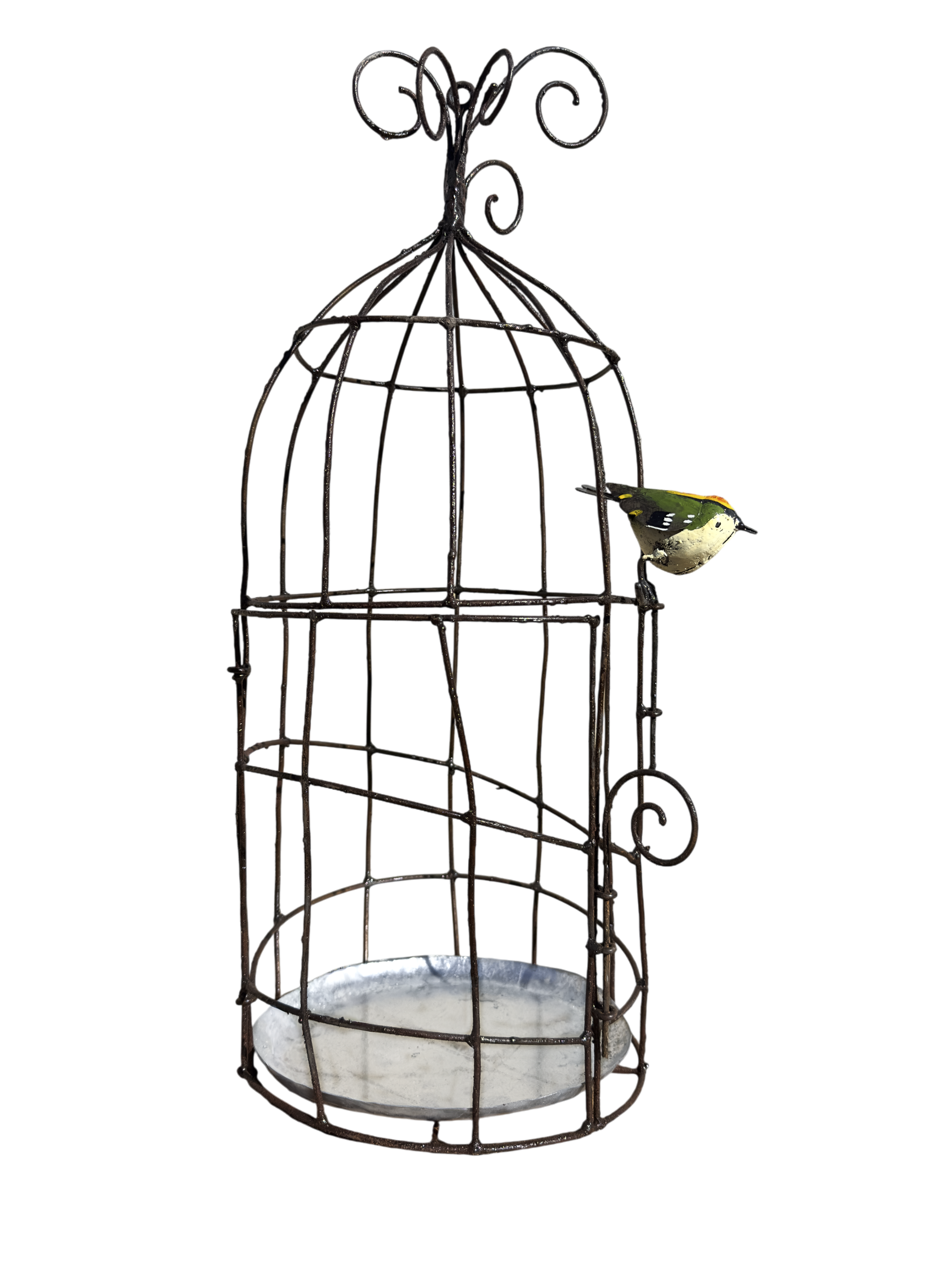 Cage oiseau (oiseau au choix)