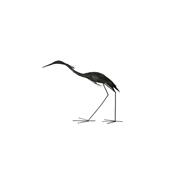 Heron walking