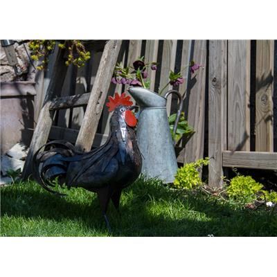 Coq Rouille