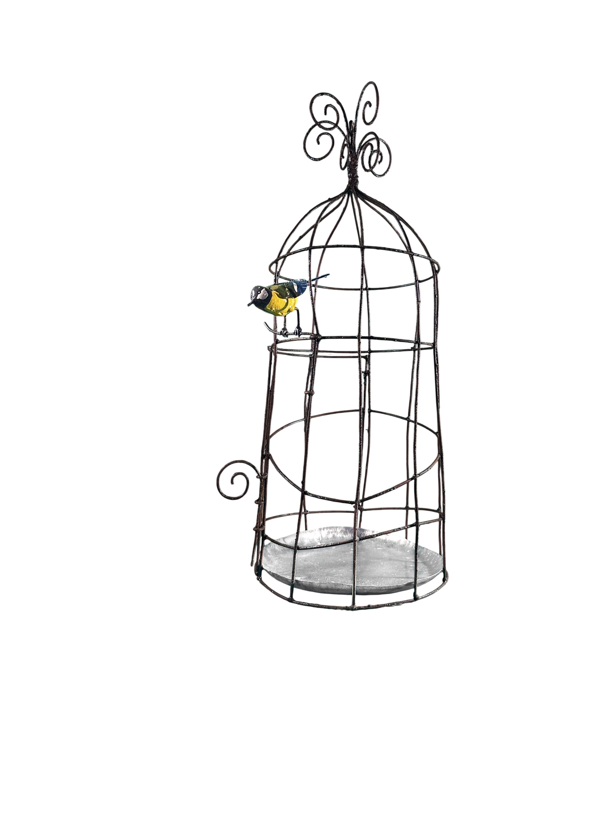 Cage oiseau (oiseau au choix)