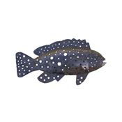 Wall light grouper