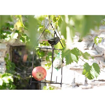 Suet feeder Redstart