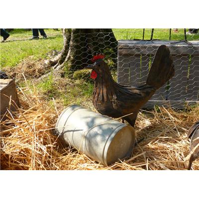 Poule "Rouille"