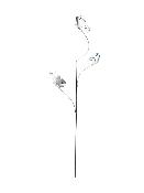 Tuteur 3 Papillons Atlantis (blanc et bleu)