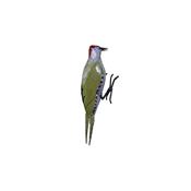 European green woodpecker