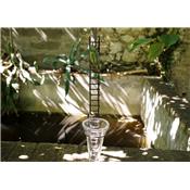 Tree Frog rain gauge