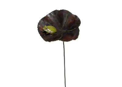 Lotus & grenouille