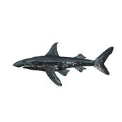 Requin