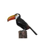 Toucan