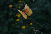 Tuteur papillon Jaune Citron de Provence