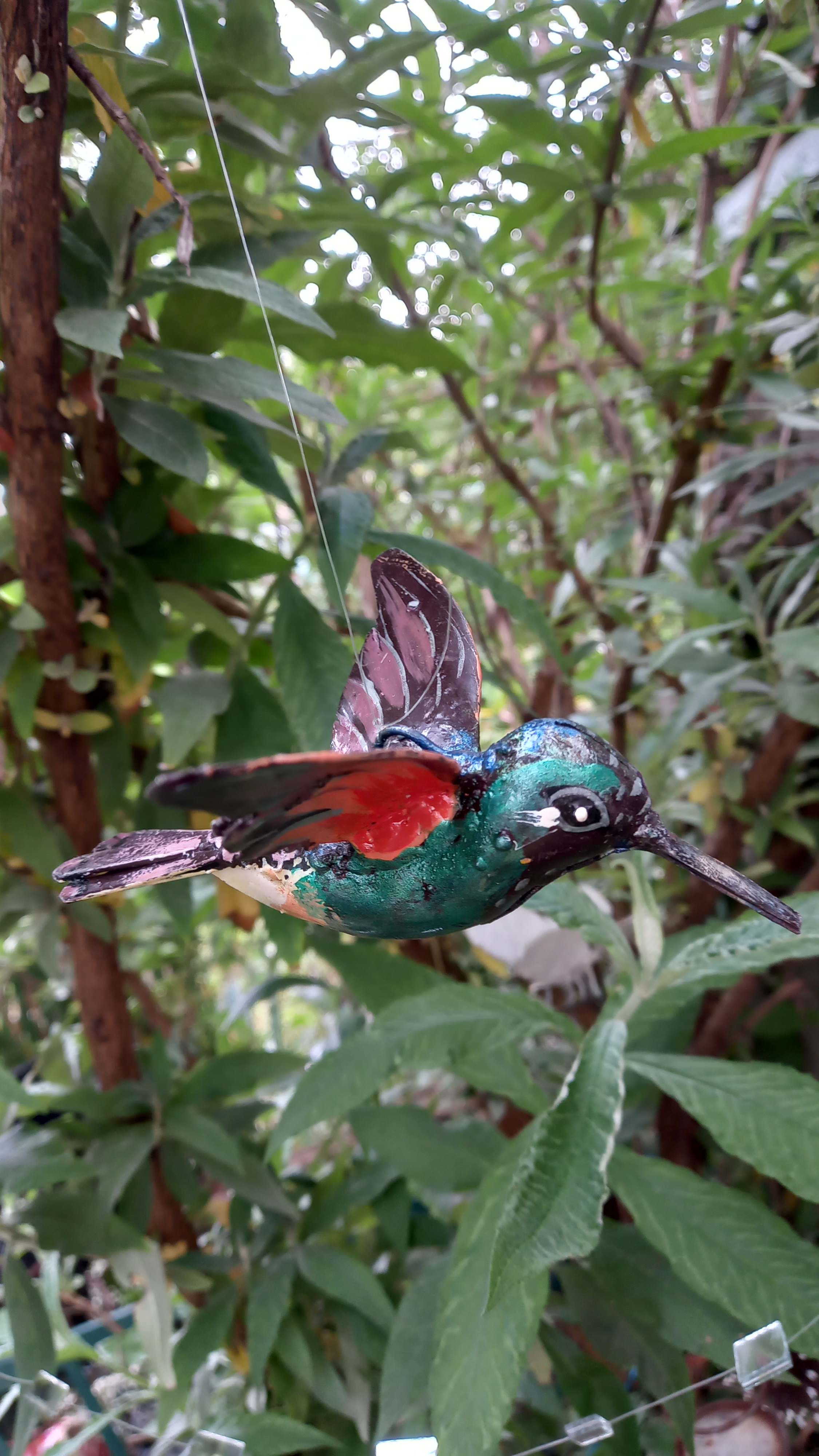 Colibri Orange