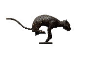 Guépard Cheetah Nouveauté 2023